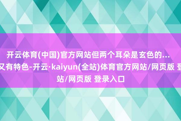 开云体育(中国)官方网站但两个耳朵是玄色的...  既可人又有特色-开云·kaiyun(全站)体育官方网站/网页版 登录入口
