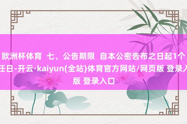 欧洲杯体育  七、公告期限  自本公密告布之日起1个责任日-开云·kaiyun(全站)体育官方网站/网页版 登录入口