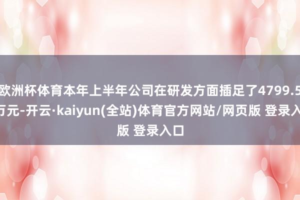 欧洲杯体育本年上半年公司在研发方面插足了4799.54万元-开云·kaiyun(全站)体育官方网站/网页版 登录入口