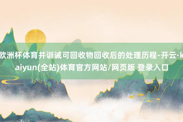 欧洲杯体育并训诫可回收物回收后的处理历程-开云·kaiyun(全站)体育官方网站/网页版 登录入口