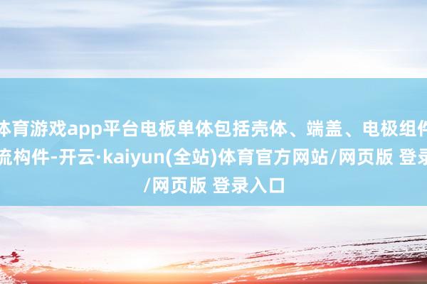 体育游戏app平台电板单体包括壳体、端盖、电极组件和集流构件-开云·kaiyun(全站)体育官方网站/网页版 登录入口