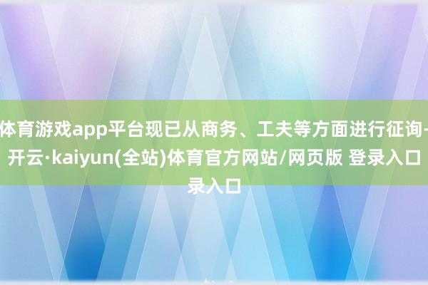 体育游戏app平台现已从商务、工夫等方面进行征询-开云·kaiyun(全站)体育官方网站/网页版 登录入口