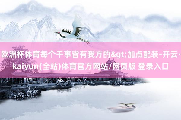 欧洲杯体育每个干事皆有我方的>加点配装-开云·kaiyun(全站)体育官方网站/网页版 登录入口