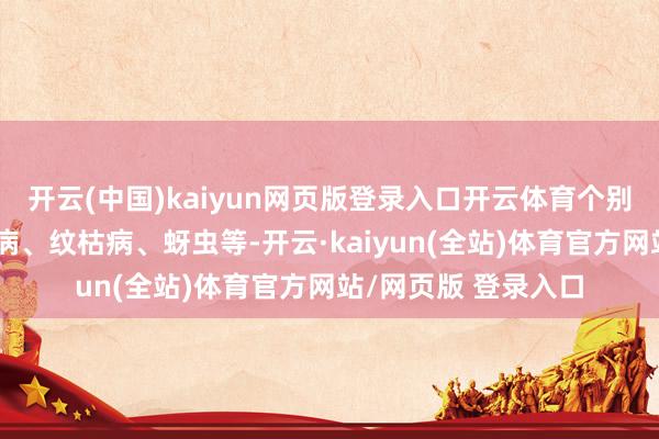 开云(中国)kaiyun网页版登录入口开云体育个别田块已发现茎基腐病、纹枯病、蚜虫等-开云·kaiyun(全站)体育官方网站/网页版 登录入口