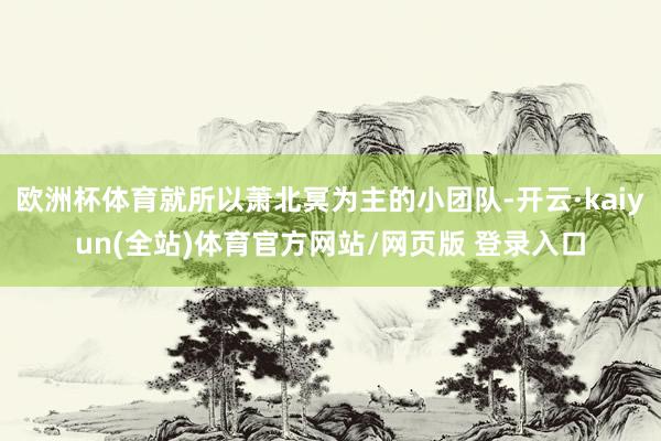欧洲杯体育就所以萧北冥为主的小团队-开云·kaiyun(全站)体育官方网站/网页版 登录入口