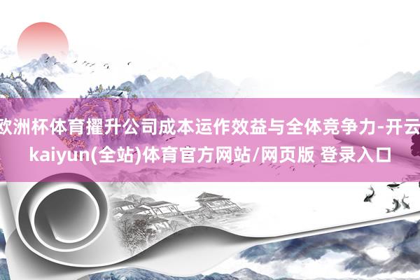 欧洲杯体育擢升公司成本运作效益与全体竞争力-开云·kaiyun(全站)体育官方网站/网页版 登录入口
