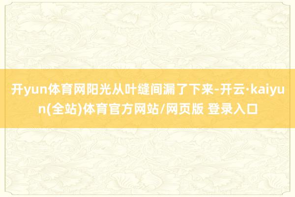 开yun体育网阳光从叶缝间漏了下来-开云·kaiyun(全站)体育官方网站/网页版 登录入口