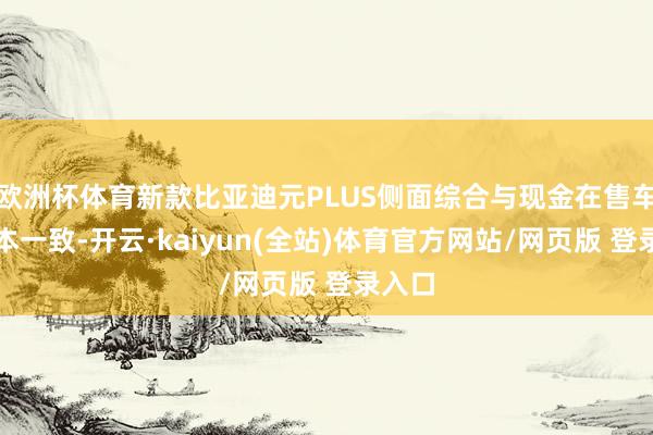 欧洲杯体育新款比亚迪元PLUS侧面综合与现金在售车型基本一致-开云·kaiyun(全站)体育官方网站/网页版 登录入口