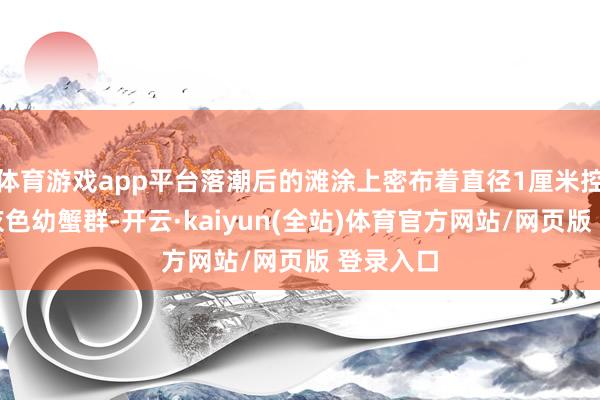 体育游戏app平台落潮后的滩涂上密布着直径1厘米控制的土灰色幼蟹群-开云·kaiyun(全站)体育官方网站/网页版 登录入口