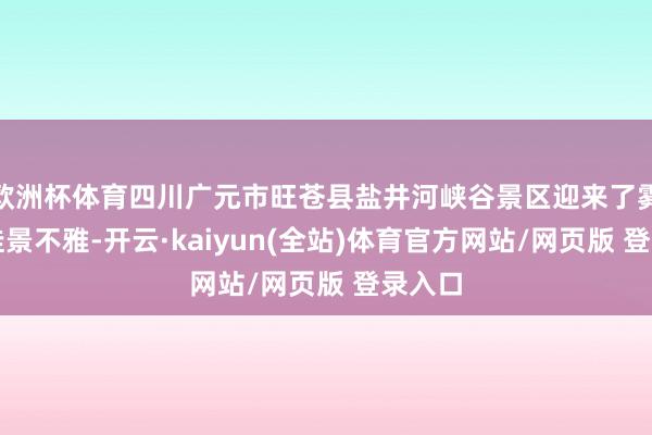 欧洲杯体育四川广元市旺苍县盐井河峡谷景区迎来了雾凇冰挂景不雅-开云·kaiyun(全站)体育官方网站/网页版 登录入口