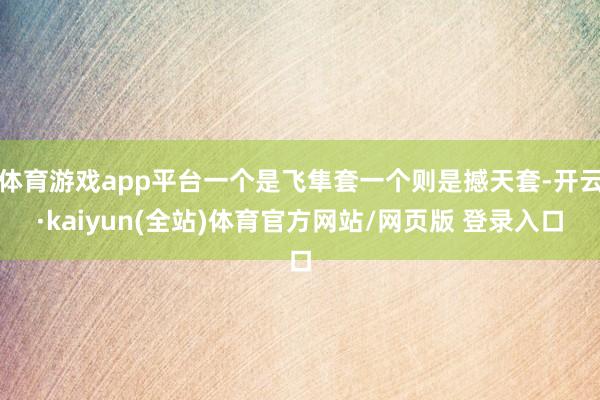 体育游戏app平台一个是飞隼套一个则是撼天套-开云·kaiyun(全站)体育官方网站/网页版 登录入口