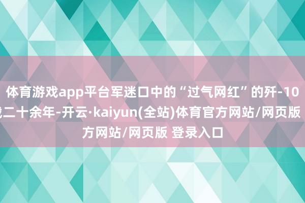 体育游戏app平台军迷口中的“过气网红”的歼-10系列持戟二十余年-开云·kaiyun(全站)体育官方网站/网页版 登录入口